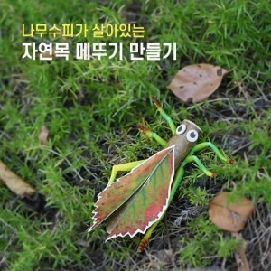 자연목메뚜기