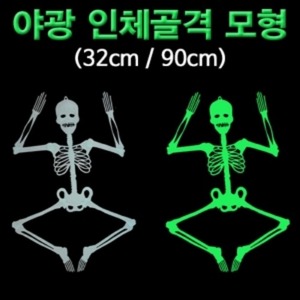 야광 인체골격 모형(중형 32cm/대형 90cm)