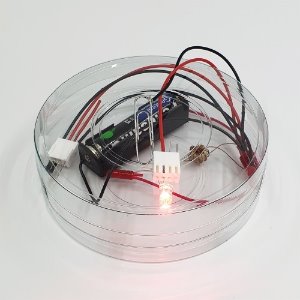 폐건전지 재활용 전압 부스터 (Joule thief) 1인용