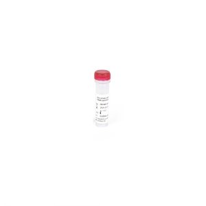 단백질분해 Buffer(5ml / 1X Proteinase K Solution)