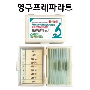 영구프레파라트-광물박편(9pcs)