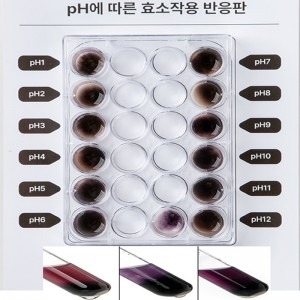 탄수화물(녹말)이 온도와 pH에 따른 효소의 활성실험 (2인1조)