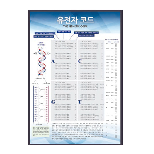 유전자 코드(과학실판넬)