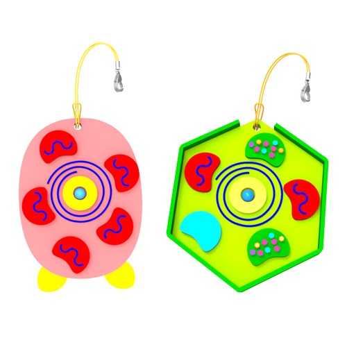 세포 열쇠고리 만들기(식물+동물 2종 세트)