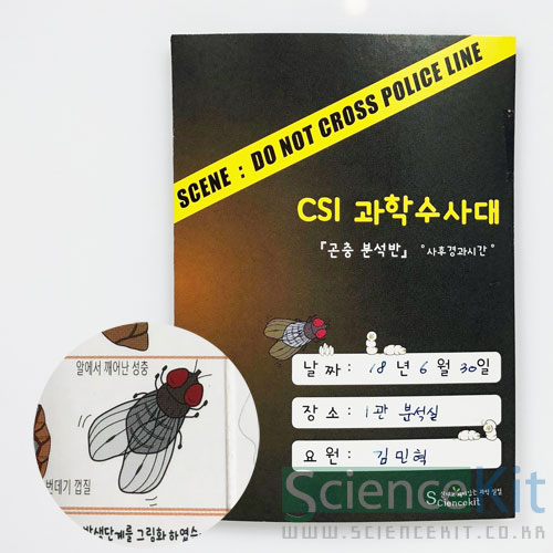 CSI 과학수사대; 『곤충 분석반』 사후경과시간 [12인용]