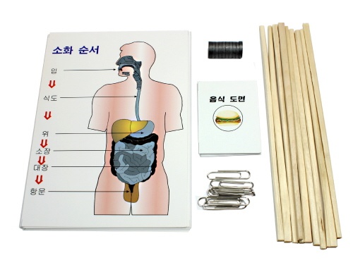 음식이 지나는 길(10인용)