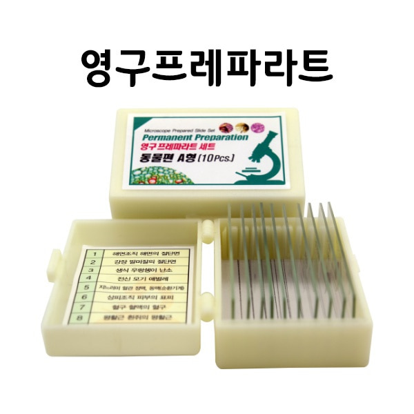 영구 프레파라트 동물편 A형(10pcs)