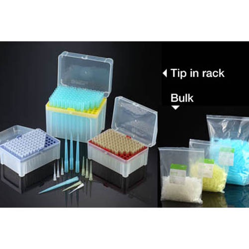 Micropipette Tip (SPL)