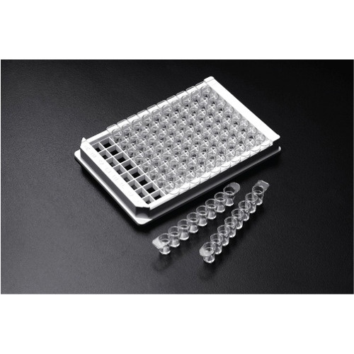 Strip Single Immunoplate (SPL)