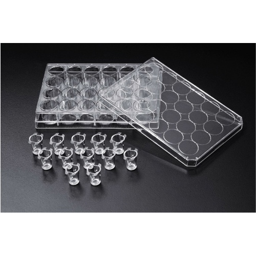 Cell Culture Insert (SPL)