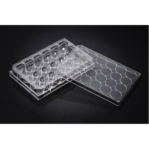 24 Well Cell Culture Plate (SPL)