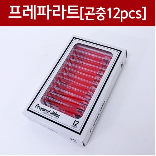 프레파라트(곤충12pcs)