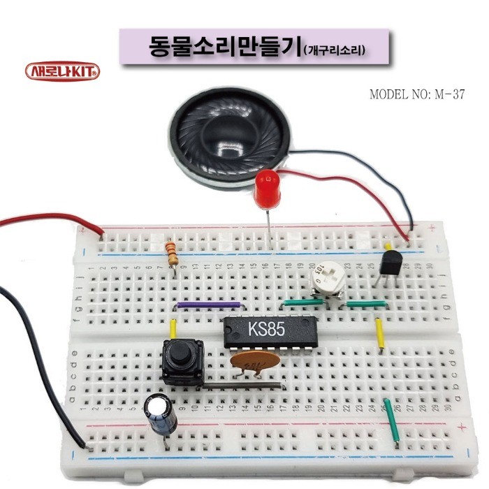 (M-37) 동물소리만들기(개구리소리)