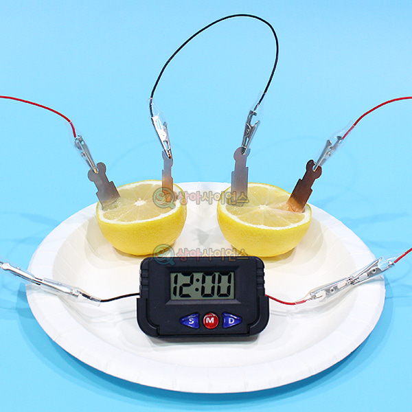 안전 집게 과일전지(디지털시계,1인용)