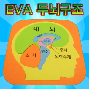 EVA두뇌구조퍼즐