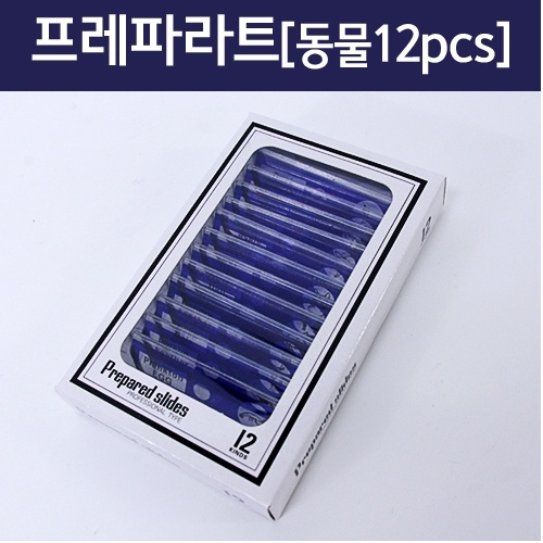 프레파라트(동물12pcs)