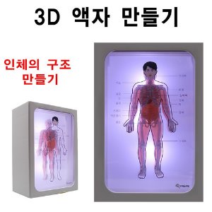 인체의 구조 만들기(3D 액자 만들기)