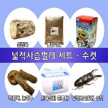 사슴벌레용품세트+수컷 한마리