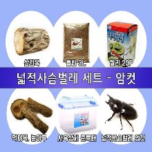 사슴벌레용품세트+암컷 한마리