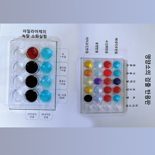 영양소검출반응실험키트+침(아밀라아제)의소화