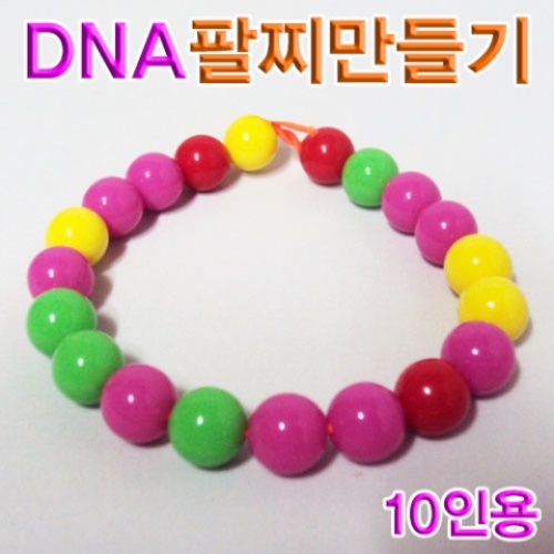 DNA팔찌만들기(10인용)