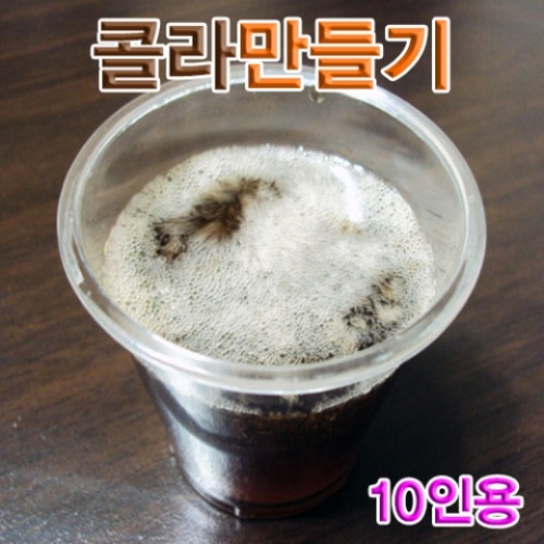 콜라만들기(10인용)