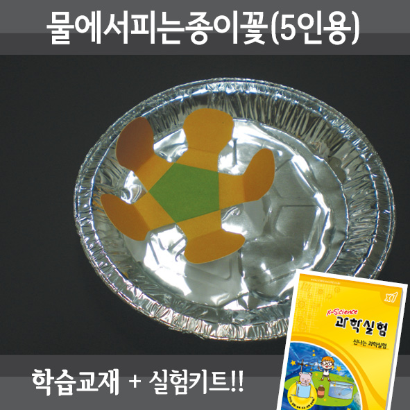 물에서피는종이꽃(5인세트)