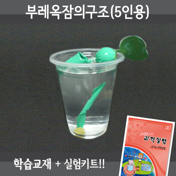 부레옥잠의구조(5인세트)