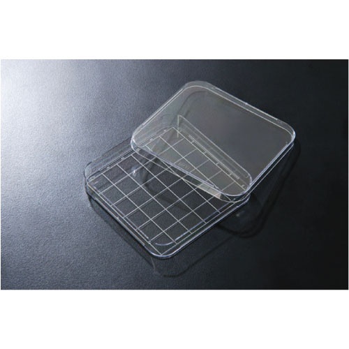 Square Dish (SPL)