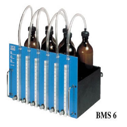 BMS6