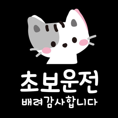 초보운전 차량 자동차 스티커 도로연수 제작 TC002 초보운전배려 아름이