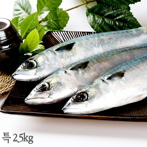 제주 순살고등어(특대) -추동- 2.5kg (11~13팩)