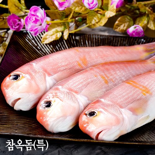 제주 참옥돔 -반건조급냉-  특 3kg 8~9마리