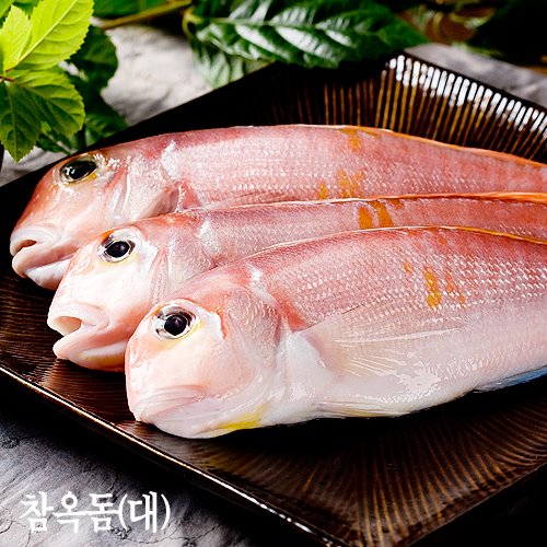 제주 참옥돔 -반건조급냉-  대 3.5kg (13~14마리)