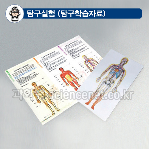 신비한 인체해부도 (홀로그램 필름) H (10매입)