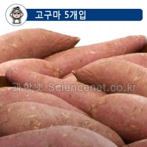 고구마(5개입)