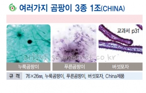 여러가지곰팡이프레파라트(3종1조-중국)