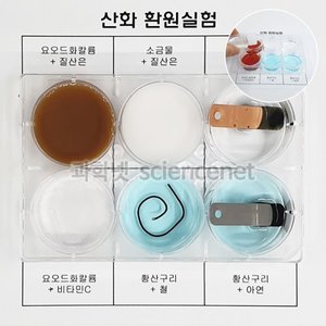 산화환원반응(전자의이동석출앙금환원제)(1인용)