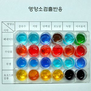 영양소 검출반응 세트(2인용)