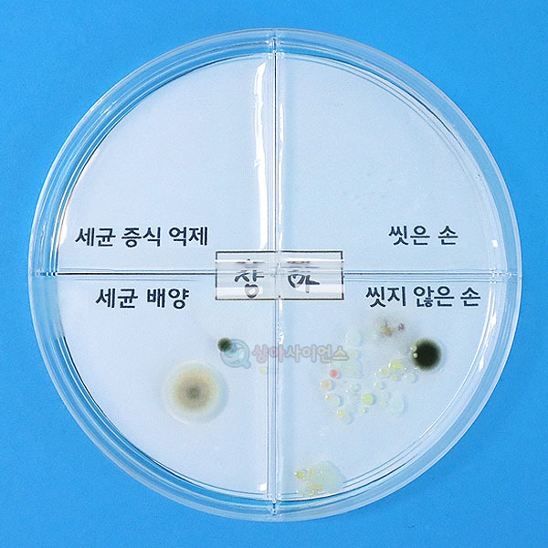 SA 세균 배양과 증식 억제 실험하기(4인용)