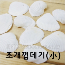 조개껍데기(소)100g