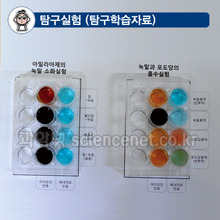 영양소검출+침(아밀라아제)의 녹말소화+녹말과 포도당의 흡수 실험키트(4인1조실험)