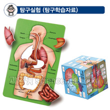 인체큐브&amp;퍼즐세트