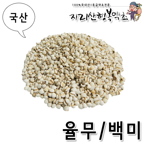 국산 율무/백미/의이인 500g