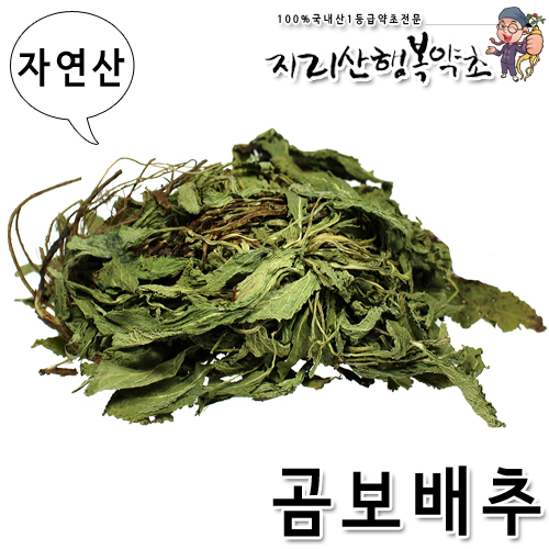 국내산 곰보배추 (재배) 300g 설견초