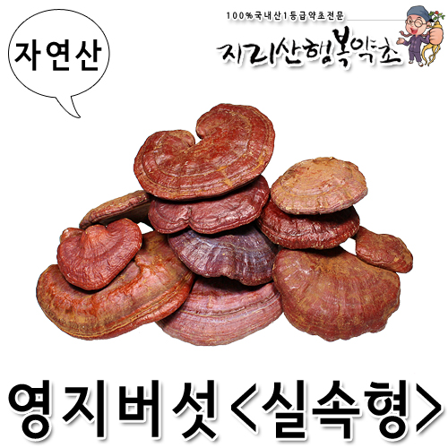 자연산 영지버섯(실속형) 300g