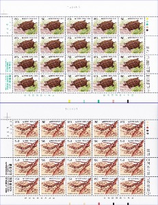 전지 - 1996년 특정야생동 · 식물보호 3집 2종