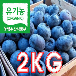 유기농 블루베리 생과 2KG[예약]