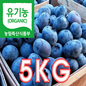 유기농 블루베리 생과 5KG[예약]