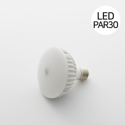 LED PAR30 12W (확산형)